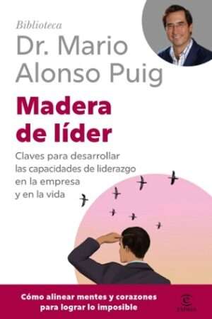 64697-MADERA DE LIDER